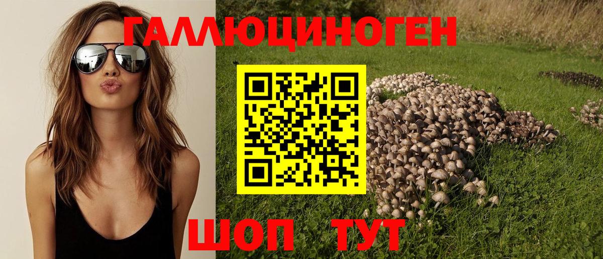 Алексин  Псилоцибиновые грибы MAGIC MUSHROOMS  Вход с VPN  Галлюциногенные грибы Psilocybine cubensis 